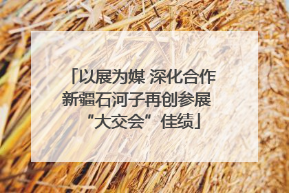 以展为媒 深化合作 新疆石河子再创参展“大交会”佳绩