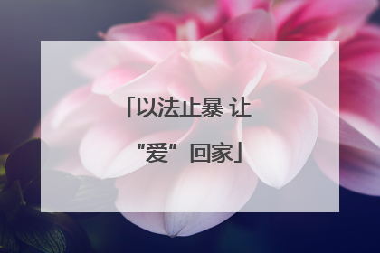 以法止暴 让“爱”回家