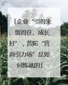 企业“引得来、留得住、成长好”，普陀“营商引力场”是如何炼就的