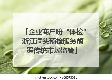 企业商户盼“体检” 浙江洞头预检服务颠覆传统市场监管