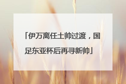 伊万离任土帅过渡，国足东亚杯后再寻新帅