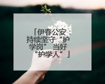伊春公安：持续坚守“护学岗” 当好“护学人”