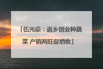 伍光豪：返乡创业种蔬菜 产销两旺促增收