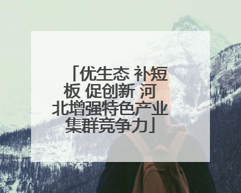 优生态 补短板 促创新 河北增强特色产业集群竞争力