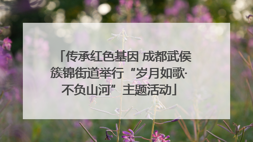 传承红色基因 成都武侯簇锦街道举行“岁月如歌·不负山河”主题活动