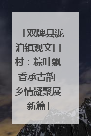 双牌县泷泊镇观文口村：粽叶飘香承古韵 乡情凝聚展新篇