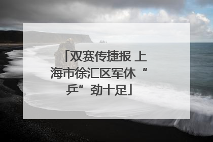 双赛传捷报 上海市徐汇区军休“乒”劲十足