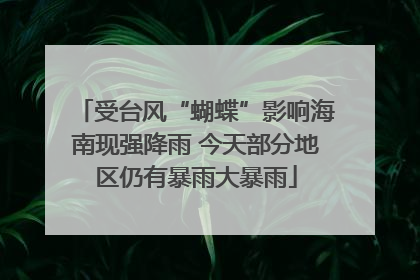 受台风“蝴蝶”影响海南现强降雨 今天部分地区仍有暴雨大暴雨