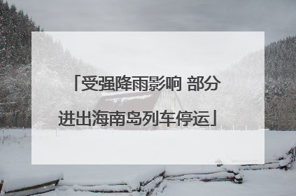 受强降雨影响 部分进出海南岛列车停运