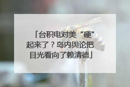 台积电对美“硬”起来了？岛内舆论把目光看向了赖清德