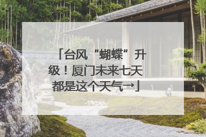 台风“蝴蝶”升级！厦门未来七天都是这个天气→