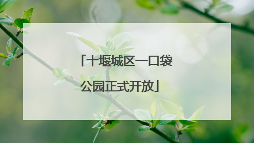 十堰城区一口袋公园正式开放