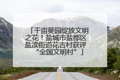 千亩葵园绽放文明之花！盐城市盐都区盐渎街道花吉村获评“全国文明村”