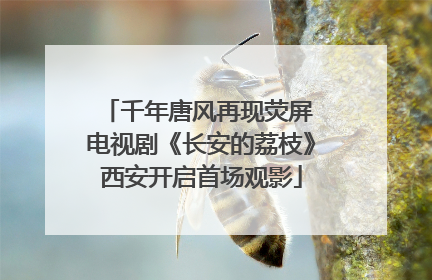 千年唐风再现荧屏 电视剧《长安的荔枝》西安开启首场观影