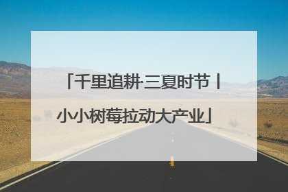 千里追耕·三夏时节丨小小树莓拉动大产业