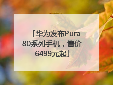 华为发布Pura80系列手机，售价6499元起
