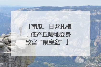 南瓜、甘薯扎根，低产丘陵地变身致富“聚宝盆”