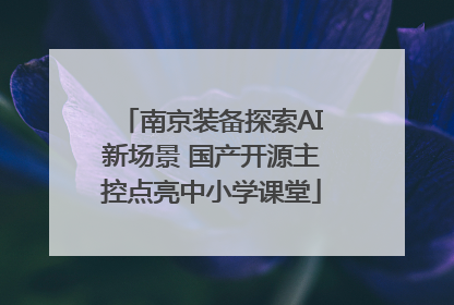 南京装备探索AI新场景 国产开源主控点亮中小学课堂