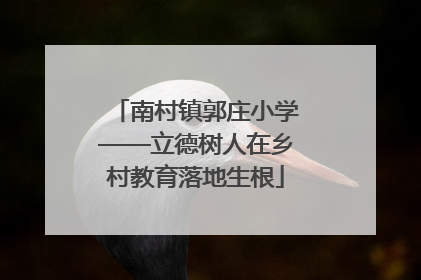 南村镇郭庄小学——立德树人在乡村教育落地生根