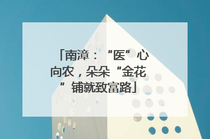 南漳：“医”心向农，朵朵“金花”铺就致富路
