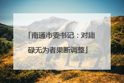 南通市委书记：对庸碌无为者果断调整