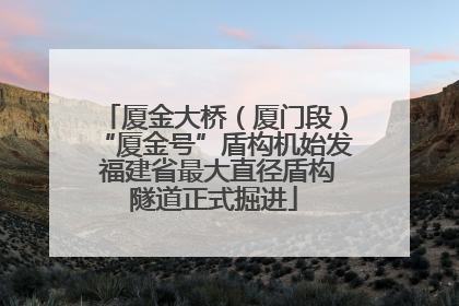 厦金大桥（厦门段）“厦金号”盾构机始发 福建省最大直径盾构隧道正式掘进