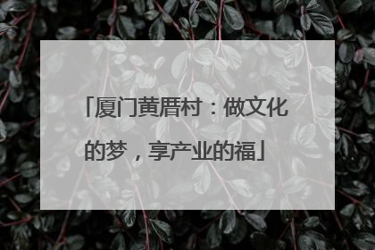 厦门黄厝村：做文化的梦，享产业的福