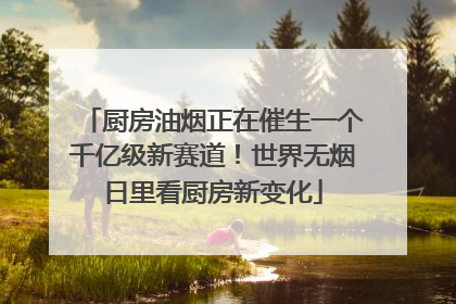 厨房油烟正在催生一个千亿级新赛道！世界无烟日里看厨房新变化