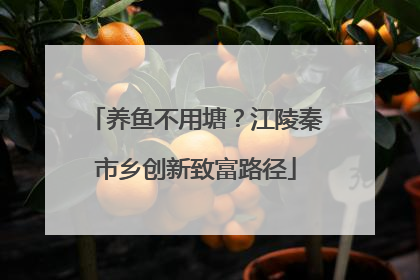 养鱼不用塘？江陵秦市乡创新致富路径