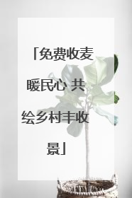 免费收麦暖民心 共绘乡村丰收景
