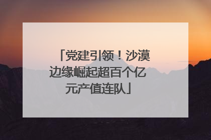 党建引领！沙漠边缘崛起超百个亿元产值连队