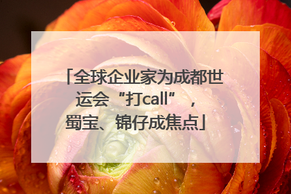 全球企业家为成都世运会“打call”，蜀宝、锦仔成焦点