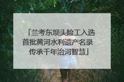 兰考东坝头险工入选首批黄河水利遗产名录 传承千年治河智慧