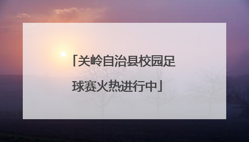 关岭自治县校园足球赛火热进行中