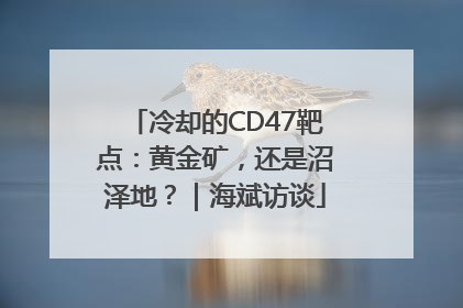 冷却的CD47靶点：黄金矿，还是沼泽地？｜海斌访谈