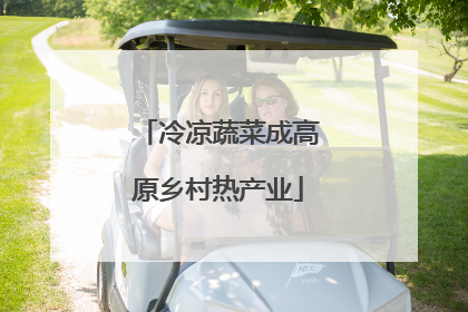 冷凉蔬菜成高原乡村热产业