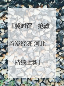 冀时评｜抢滩首发经济 河北持续上新