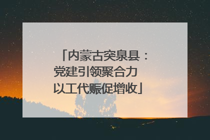 内蒙古突泉县：党建引领聚合力 以工代赈促增收