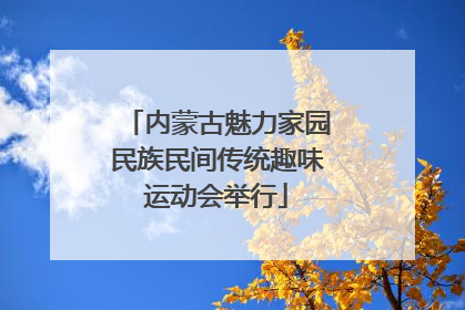 内蒙古魅力家园民族民间传统趣味运动会举行