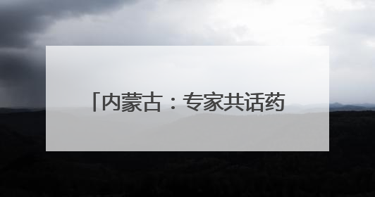 内蒙古：专家共话药品零售行业健康发展