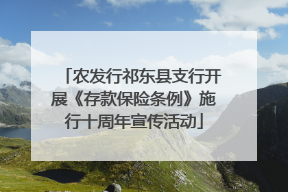 农发行祁东县支行开展《存款保险条例》施行十周年宣传活动