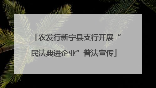 农发行新宁县支行开展“民法典进企业”普法宣传