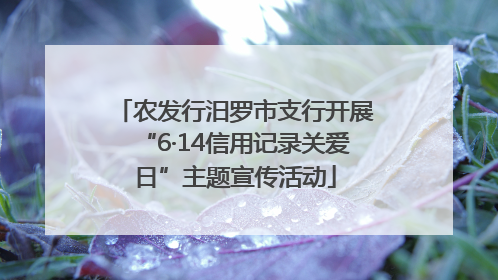 农发行汨罗市支行开展“6·14信用记录关爱日”主题宣传活动