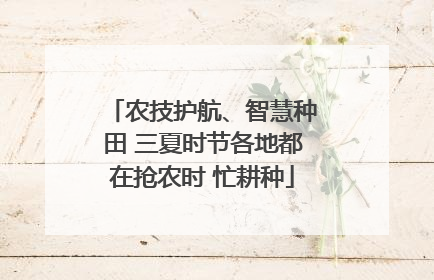 农技护航、智慧种田 三夏时节各地都在抢农时 忙耕种