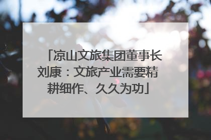 凉山文旅集团董事长刘康：文旅产业需要精耕细作、久久为功