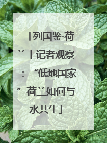 列国鉴·荷兰丨记者观察：“低地国家”荷兰如何与水共生