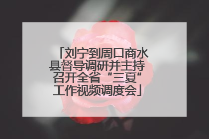 刘宁到周口商水县督导调研并主持召开全省“三夏”工作视频调度会