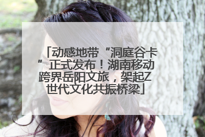 动感地带“洞庭谷卡”正式发布！湖南移动跨界岳阳文旅，架起Z世代文化共振桥梁