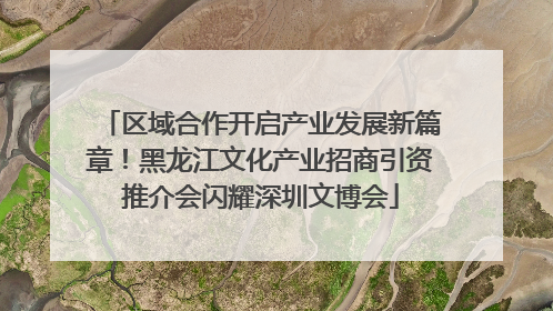 区域合作开启产业发展新篇章！黑龙江文化产业招商引资推介会闪耀深圳文博会