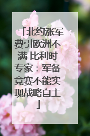 北约涨军费引欧洲不满 比利时专家：军备竞赛不能实现战略自主